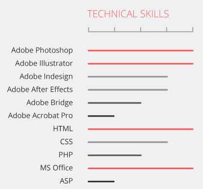 Örneklerle CV Tasarımı Teknik Beceriler Grafiği